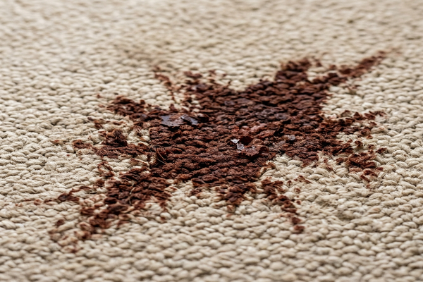 Before Cleaning